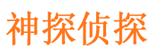 环江市调查公司